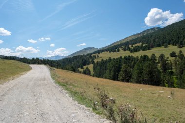 Montgarri Aran vadisi dağlarında yaz, İspanya için yol