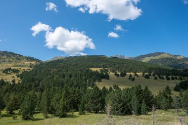 Aran vadisi, İspanya ile Pyrenees dağlarda