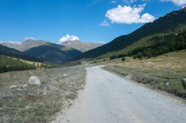 Montgarri Aran vadisi dağlarında yaz, İspanya için yol