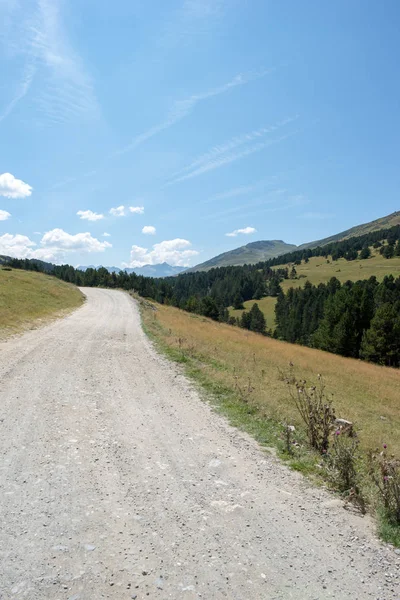 Straße Nach Montgarri Den Bergen Des Aran Tals Sommer Spanien — Stockfoto