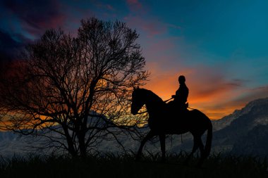 Gökkuşağı izole, Bush İspanya gün batımında