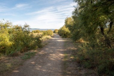 Daimiel Castilla la mancha, İspanya daki kurulları tarafından yürümek