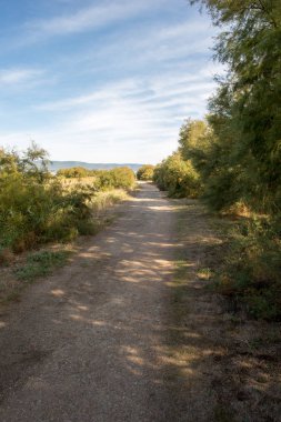 Daimiel Castilla la mancha, İspanya daki kurulları tarafından yürümek