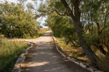 Daimiel Castilla la mancha, İspanya daki kurulları tarafından yürümek