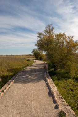 Daimiel Castilla la mancha, İspanya daki kurulları tarafından yürümek