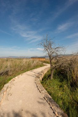 Daimiel Castilla la mancha, İspanya daki kurulları tarafından yürümek