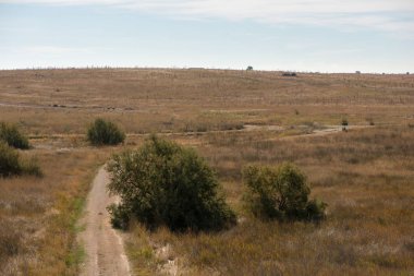 Daimiel Castilla la mancha, İspanya daki kurulları tarafından yürümek