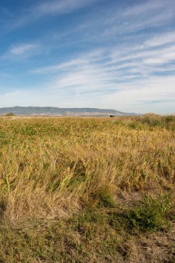 Daimiel tablolarda mavi gökyüzü, İspanya ile manzara
