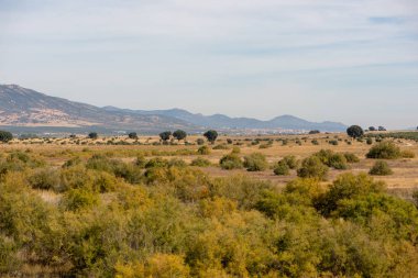 Daimiel tablolarda mavi gökyüzü, İspanya ile manzara
