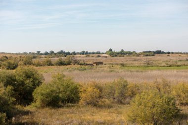 Daimiel tablolarda mavi gökyüzü, İspanya ile manzara