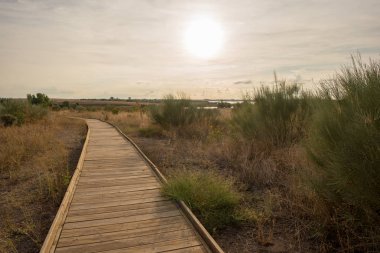 Daimiel, Ciudad real, İspanya tablolar ahşap yolu