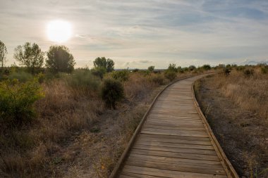 Daimiel, Ciudad real, İspanya tablolar ahşap yolu
