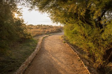 Daimiel, Ciudad real, İspanya tablolar ahşap yolu