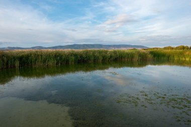 Günbatımında bir rezervuar daimiel tabloları, İspanya