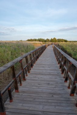 Daimiel, Ciudad real, İspanya tablolar ahşap yolu