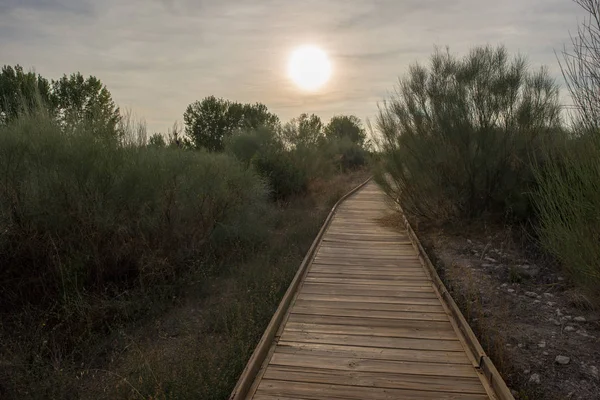 Dřevěná Cesta Tabulkách Daimiel Ciudad Real Španělsko — Stock fotografie