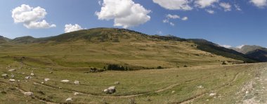 Santo Domingo de la Calzada Panoramisi, Camino de Santiago, İspanya