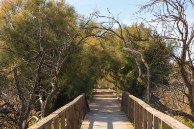 Daimiel gerçek City, İspanya tablolar