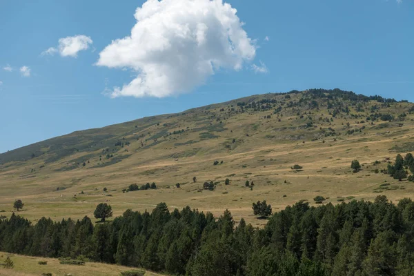 Montagne Baqueira Estate Valle Aran Spagna — Foto Stock