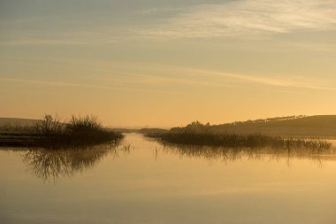 Daimiel tablolar, İspanya nehre dallarında yansımaları