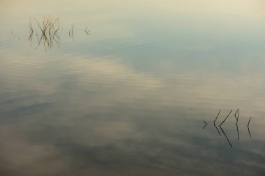 Daimiel tablolar, İspanya nehre dallarında yansımaları