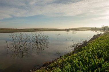 Daimiel, İspanya tabloların yanındaki Guadiana Nehri