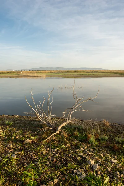 Řeky Guadiana Vedle Tabulky Daimiel Španělsko — Stock fotografie