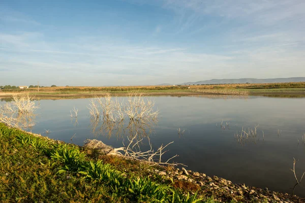 Rzeki Guadiana Obok Tabel Daimiel Hiszpania — Zdjęcie stockowe