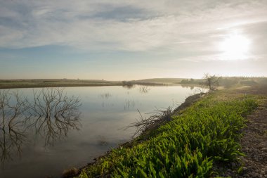 Daimiel, İspanya tabloların yanındaki Guadiana Nehri