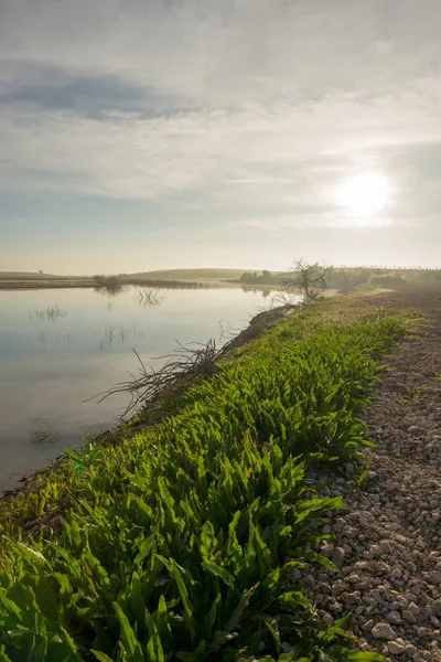 Řeky Guadiana Vedle Tabulky Daimiel Španělsko — Stock fotografie