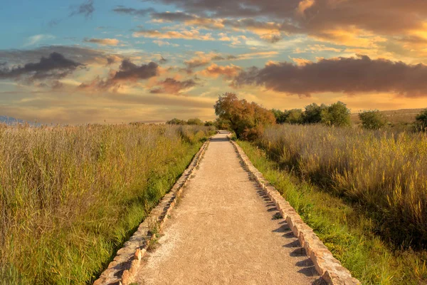 Een Zonsondergang Tabellen Van Daimiel Spanje — Stockfoto