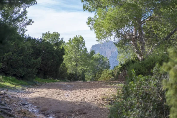 Vista Dal Punto Vista Vedra Ibiza Spagna — Foto Stock