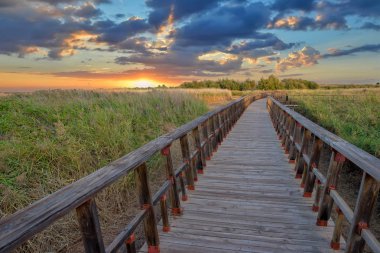 Daimiel, Ciudad real, İspanya tablolar ahşap yolu
