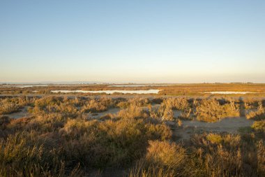 Delta del ebro gün batımında, İspanya kıyılarında