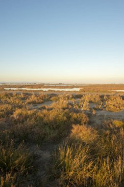 Delta del ebro gün batımında, İspanya kıyılarında