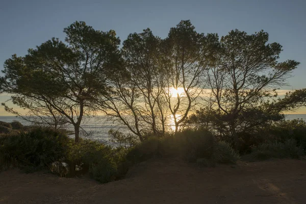Sonnenaufgang Mittelmeer Oropesa Castellon Spanien — Stockfoto