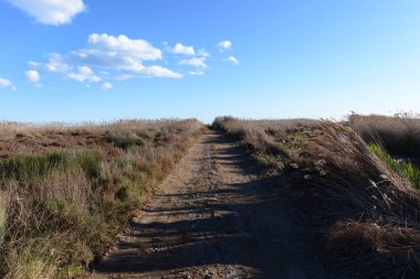 Prat de cabanes ve torreblanca castellon, İspanya