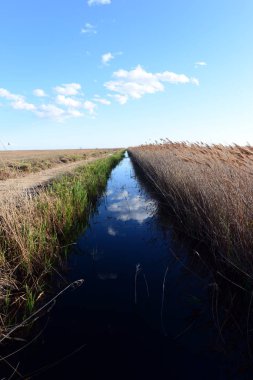 Prat de cabanes ve torreblanca castellon, İspanya