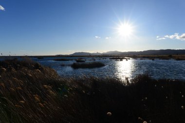 Prat de cabanes ve torreblanca castellon, İspanya