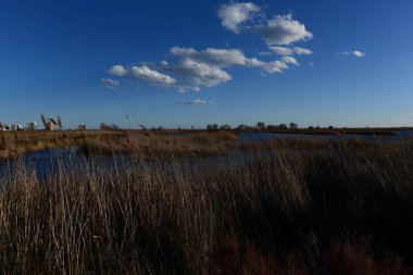 Prat de cabanes ve torreblanca castellon, İspanya