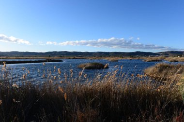 Prat de cabanes ve torreblanca castellon, İspanya