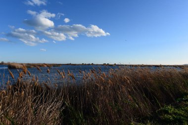 Prat de cabanes ve torreblanca castellon, İspanya