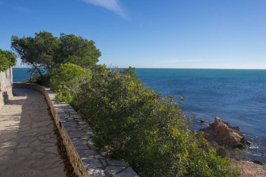 Ağaçlar ametlla de mar, Tarragona, İspanya sahillerinin yanında