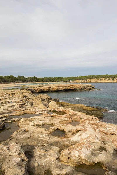 サンアントニオ イビサ島 スペインのバッサ コーブの海岸 — ストック写真