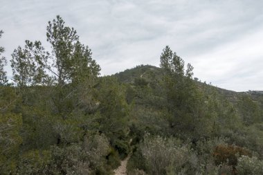 Alcocebre, İspanya 'daki Sierra de irta Dağları