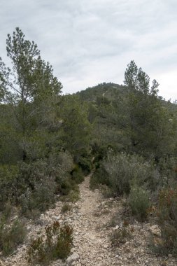 Alcocebre, İspanya 'daki Sierra de irta Dağları