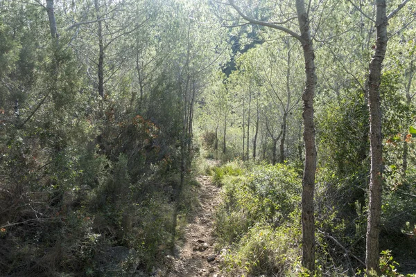 Montanhas Serra Irta Alcocebre Espanha — Fotografia de Stock