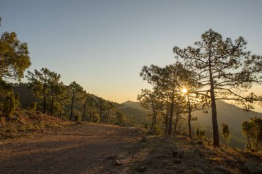 Avuç içi çölün, İspanya dağlarında gündoğumu