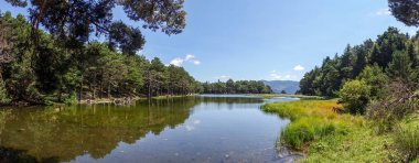 Aran panoramica, İspanya içinde vadisinde Bassa'de oles