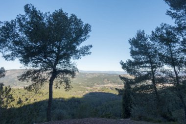 Avuç içi benicasim, Costa azahar çöl